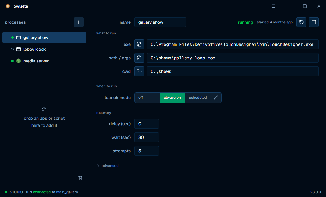 the owlette desktop app — the process list on the left, the selected process's settings on the right